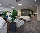 Ficus Lyrata, planta artificial