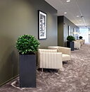 Laurel topiary, planta artificial
