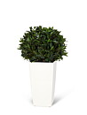 Laurel topiary, planta artificial