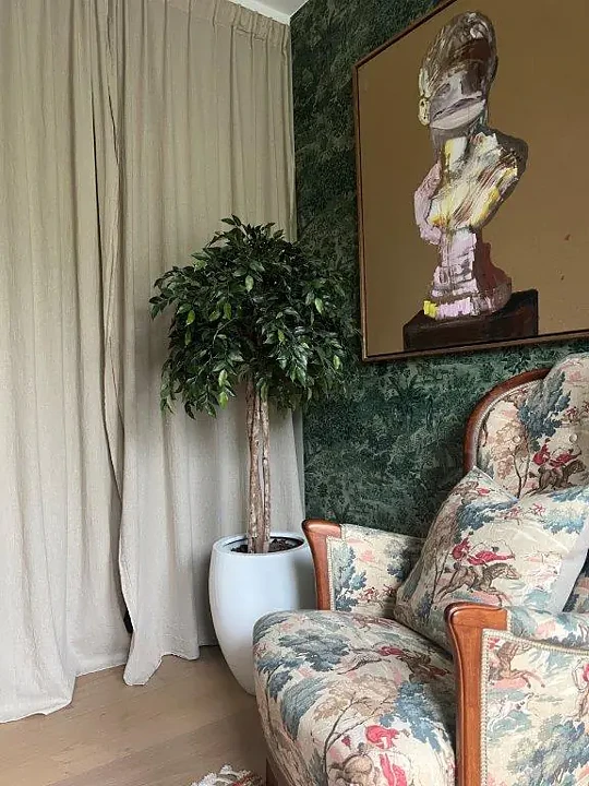 Ficus benjamina, Natasja topiary
