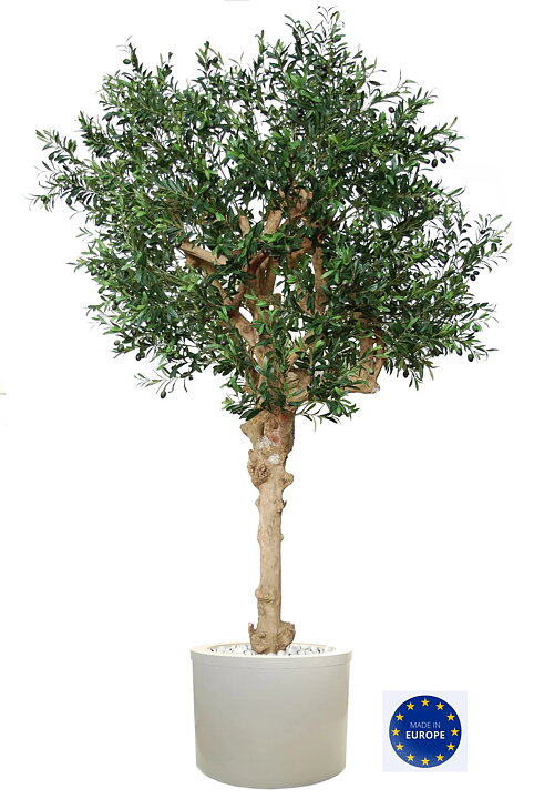 Olive Nidra, planta artificial