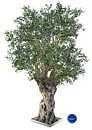 Olive Nabil, planta artificial