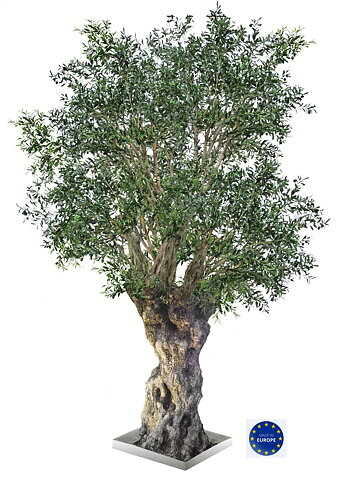 Olive Nabil, planta artificial