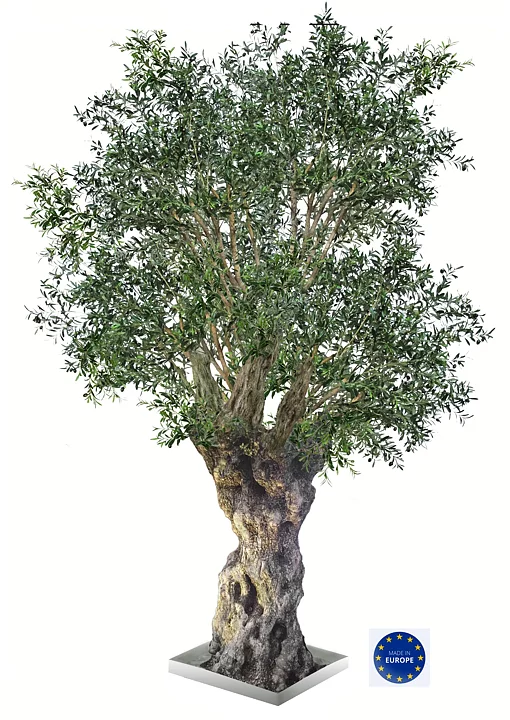 Olive Nabil, planta artificial