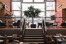 Scandic hotels