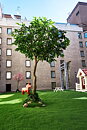 Sheraton hotels