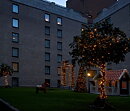 Sheraton hoteles