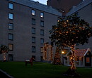 Sheraton hotels