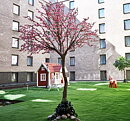 Sheraton hotels