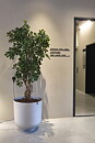 Hotell Nobis Group