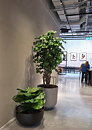 Hotell Nobis Group