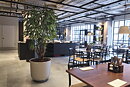 Hoteles Nobis Group