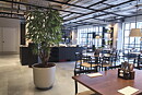 Hotell Nobis Group