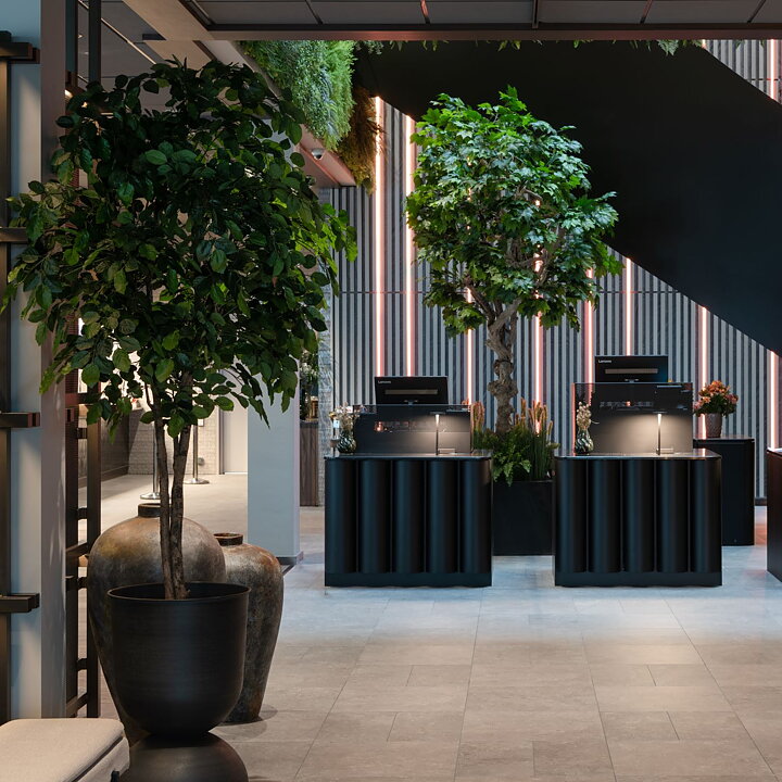 Clarion hotels