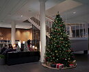 Clarion hotels