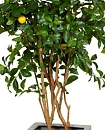 Limonero, planta artificial