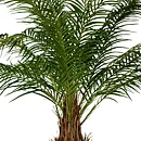 Phoenix palmera, planta artificial