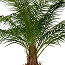 Phoenix palmera, planta artificial