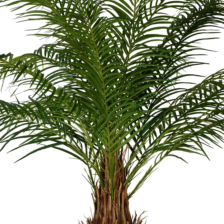 Phoenix palmera, planta artificial