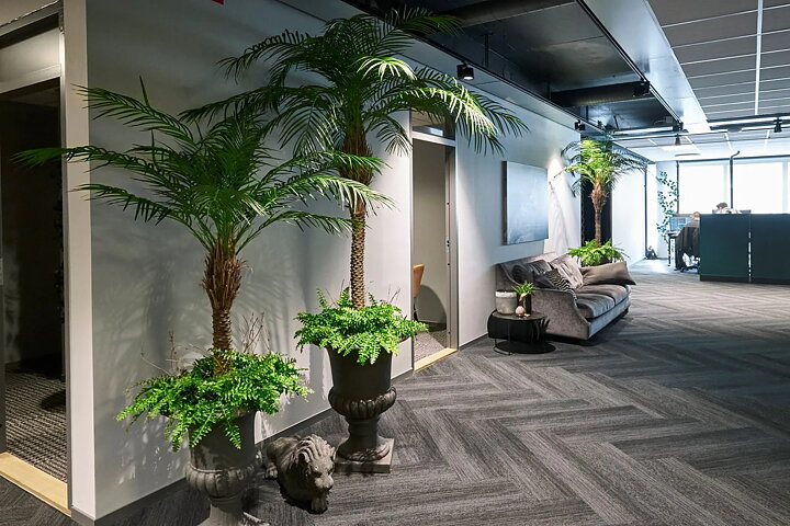 Phoenix palmera, planta artificial