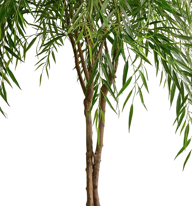 Willow, planta artificial