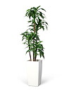 Dracaena Fragrans grön/vit, konstväxt
