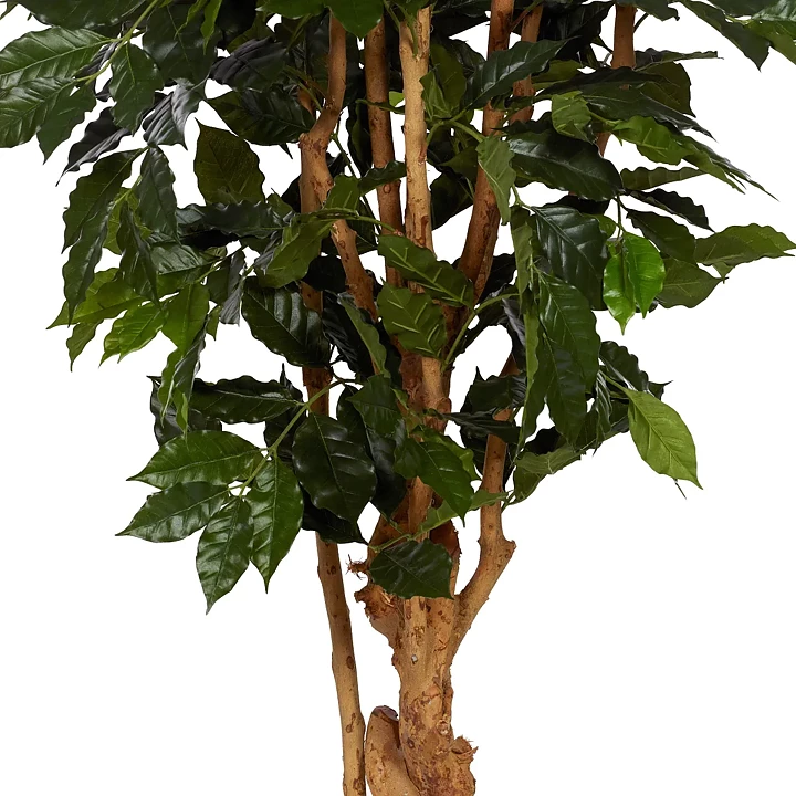 Cafeto, planta artificial
