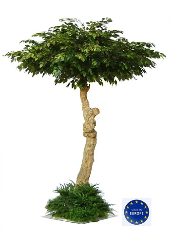 Paragua, planta artificial