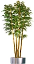 Bambu XL, konstväxt