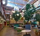Haya, planta artificial