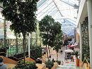 Haya, planta artificial