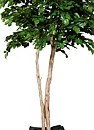 Haya, planta artificial