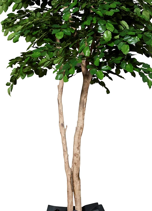 Haya, planta artificial