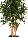 Dracaena Anita, konstväxt