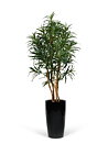 Dracaena Anita, planta artificial