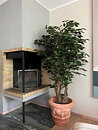 Malabar ficus artificial