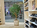 Olivo Crown, planta artificial