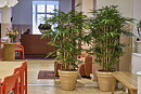Bambú artificial