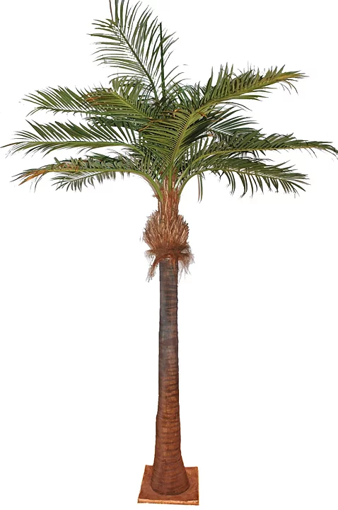 Coco palmera, planta artificial