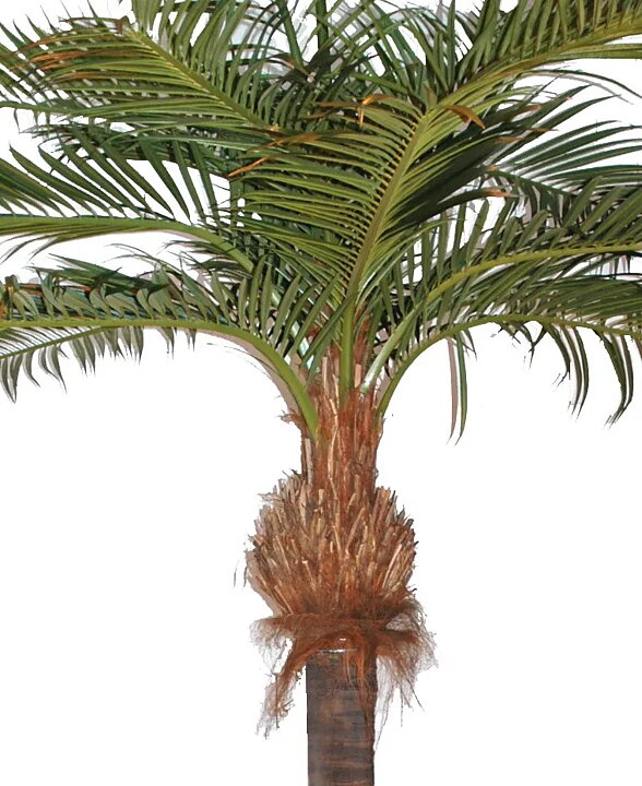 Coco palmera, planta artificial