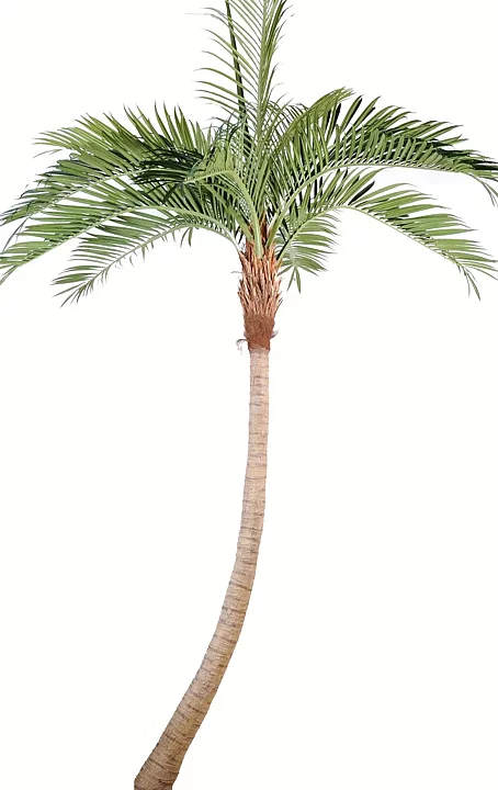 Coco palmera, planta artificial