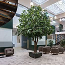 Roble XL, planta artificial con tronco artificial