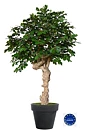 Roble, planta artificial