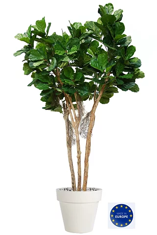 Ficus Lyrata, planta artificial
