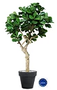 Ficus Lyrata, planta artificial