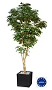 Ficus benjamina, planta artificial