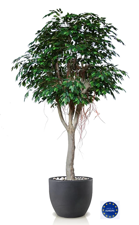 Ficus benjamina, planta artificial