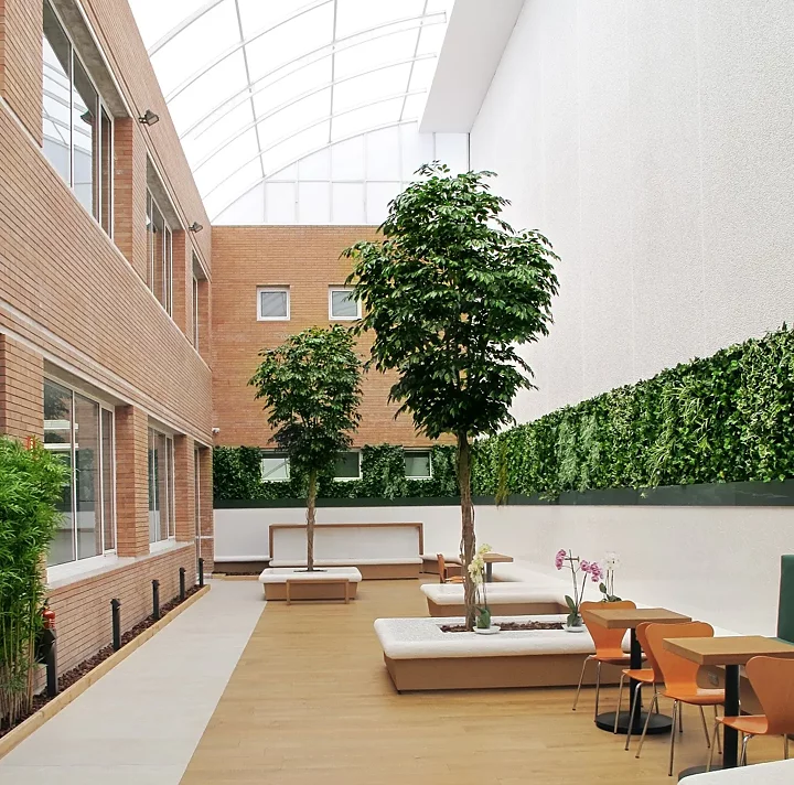 Ficus benjamina, planta artificial