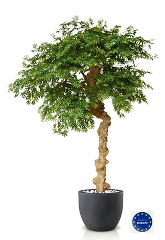 Arce japones, planta artificial