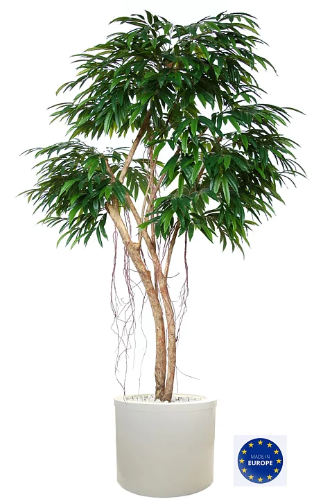 Longifolia, planta artificial